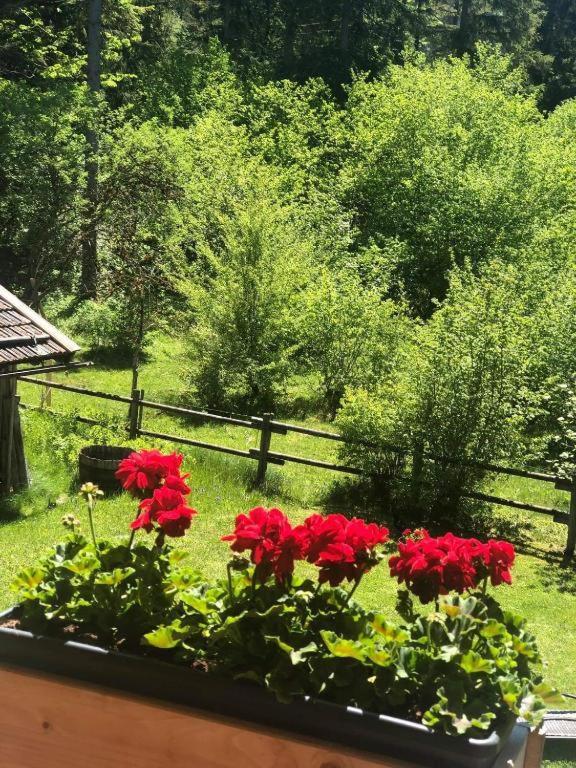 Landhaus Trinis - Gaestezimmer - Bad - Bett - Kleine Kaffee - Tee-Theke Mit Kuehlschrank - Parkplatz Villa Rottach-Egern Luaran gambar