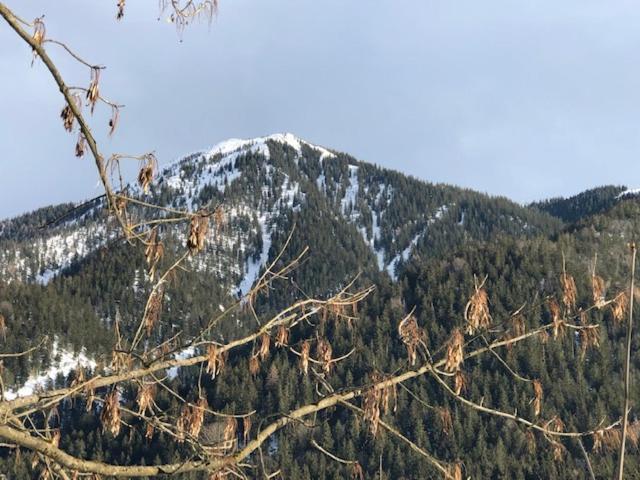 Landhaus Trinis - Gaestezimmer - Bad - Bett - Kleine Kaffee - Tee-Theke Mit Kuehlschrank - Parkplatz Villa Rottach-Egern Luaran gambar